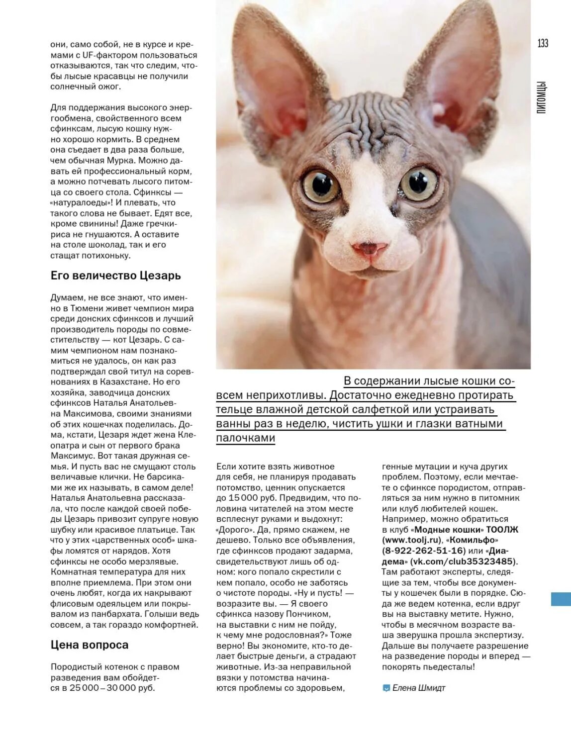 кошки на огэ по биологии 2022. сфинкс или украинский левкой. порода кошек сфинкс браш. строение лысых кошек. рассмотрите фотографию лысой кошки выберите характеристики.