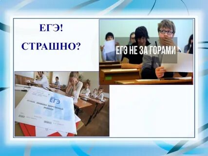 Егэ мнение
