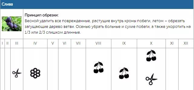 Календарь обрезки плодовых деревьев. Календарь обрезки деревьев. Опрыскивание деревьев медным купоросом весной. Календарь обрезки плодовых деревьев. Сроки обрезки плодовых деревьев.