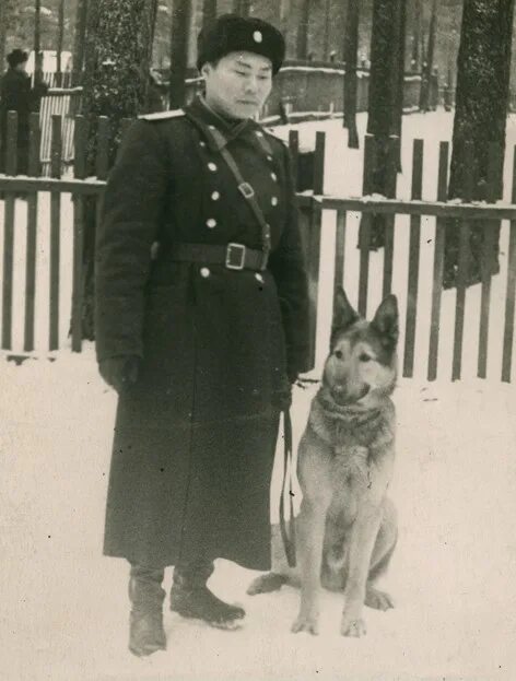 Девушка кинолог. Околоточный надзиратель кинолог. Собака надзиратель. Немецкий фашист с немецкой овчаркой. Треф собака полицейская.