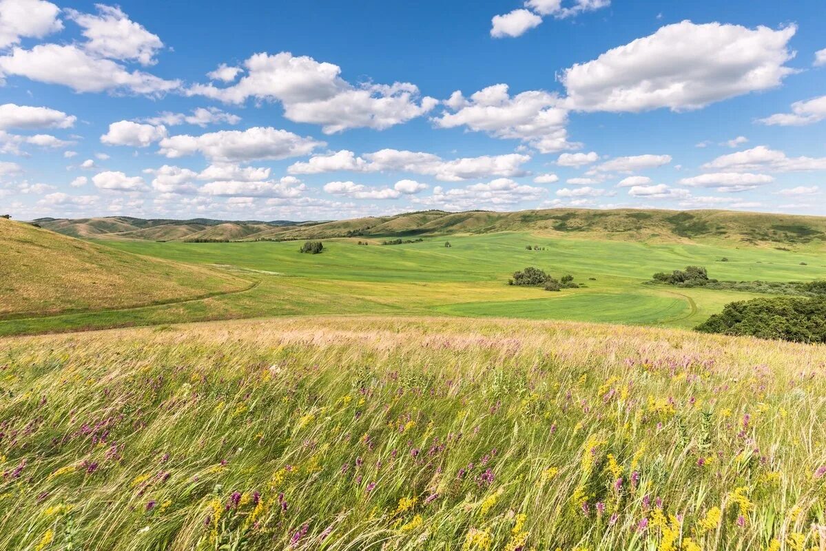 Родной край оренбургская область. Родной край оренбургская область. Степные просторы оренбург. Природа оренбуржья. Природа степь оренбург.