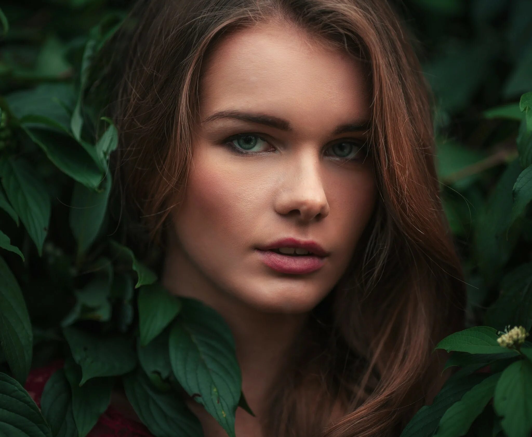 Девушка анфас. Портрет девушки анфас. Face portrait. Женское лицо. Портрет лица.