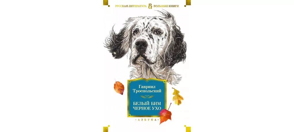 Как выглядит бим черное ухо Постеры: Белый Бим Черное ухо / Постер фильма "Белый Бим Черное ухо" (1976) #316