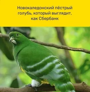 Зеленым казался мне тогда