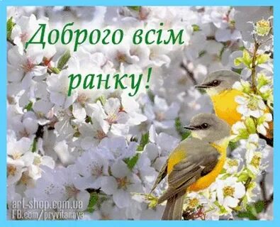 Доброго мирного ранку українській мові