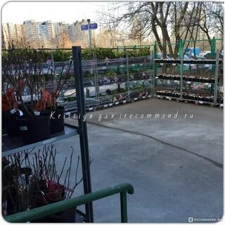 Мир увлечений отрадное