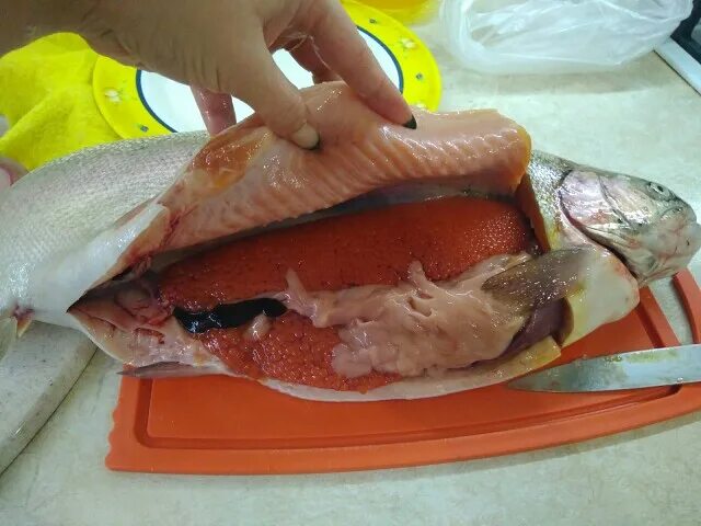 Липоидная дистрофия печени форели. Как выглядит печень горбуши. Печень форели можно есть или нет. Печень форели можно есть или нет. Печень форели можно есть или нет.