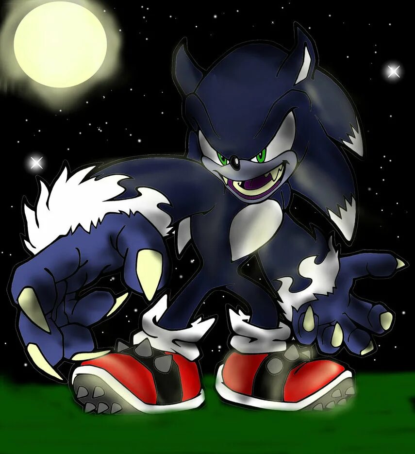 Оборотень еж. Соник верхог. соник оборотень. соник werehog. sonic the werehog.