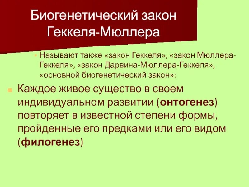 Филогенез геккеля. Биогенетический закон Геккеля. Биогенетический закон Геккеля Мюллера. Биогенетический закон. Основной биогенетический закон Геккеля.