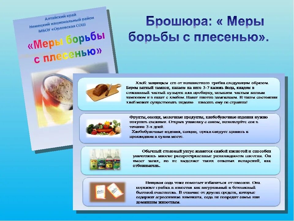 Как избежать плесени. Факторы появления плесени. памятки от плесени. буклет плесень. профилактика плесени.