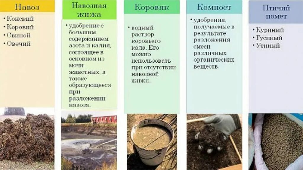 Какие растения любят перегной