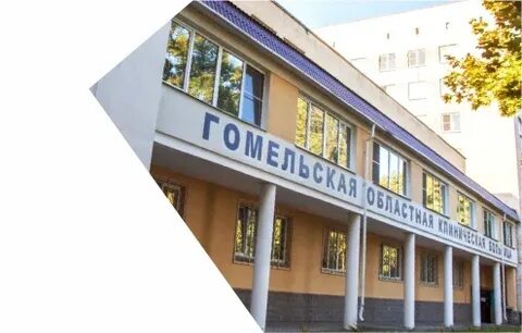 Вока гомеле