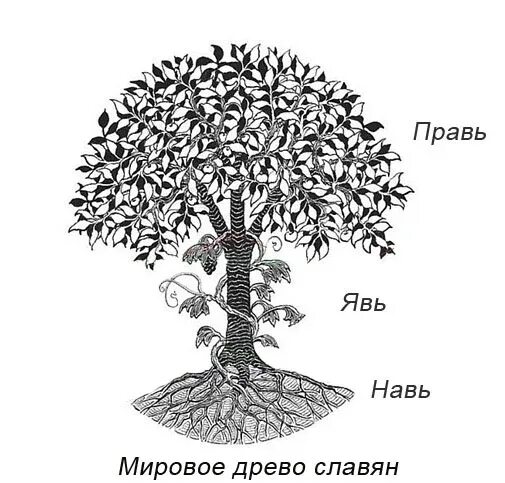 Явь навь правь дерево. Явь в славянской мифологии. Явь в славянской мифологии. Явь в славянской мифологии. Навь славянская мифология.
