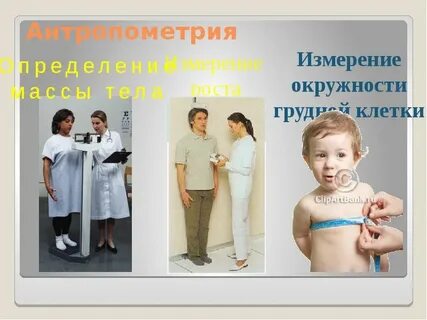 Антропометрия
