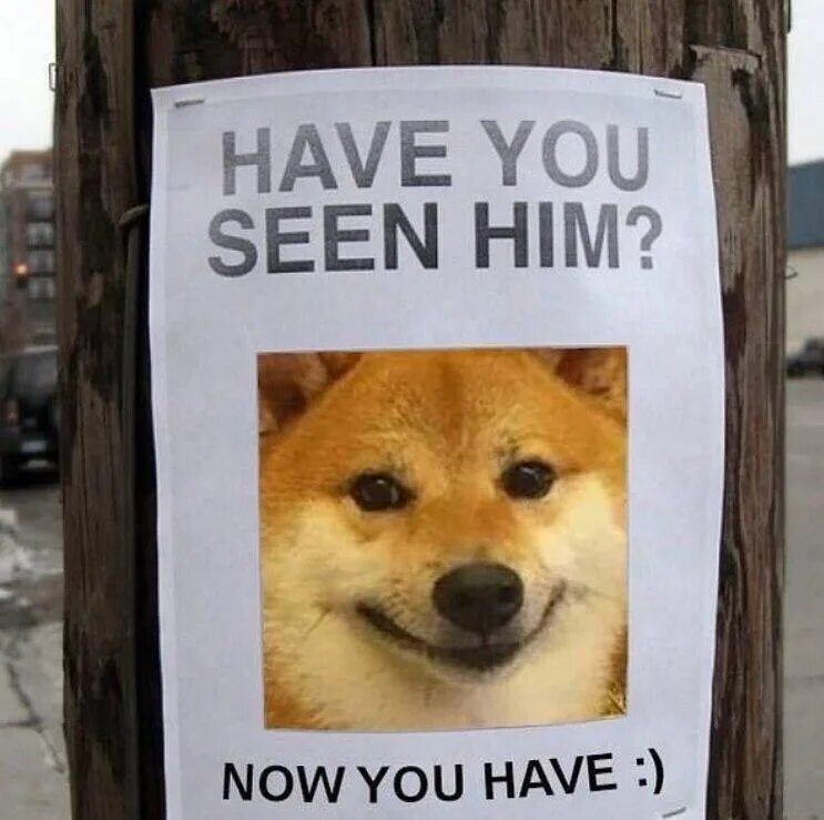 You see him yet. Have you seen him. Мем have you seen him. Have you seen him Now you have. Have you seen him футболка.