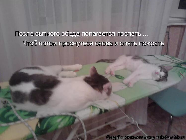 После сытного обеда. После сытного обеда. После сытного обеда. После сытного обеда полагается поспать. После сытного обеда.