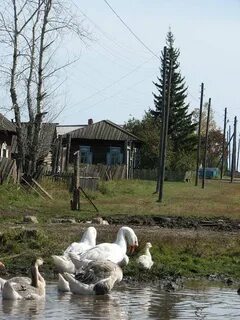 Погода хогот иркутская область