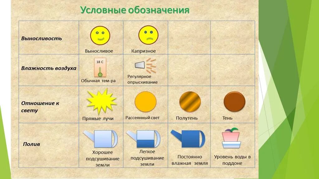 Маркировка цветов в детском саду. Уголок природы условные обозначения. условные обозначения в уголке природы в детском. условные обозначения по уходу за растениями. условные обозначения цветов для детского сада.