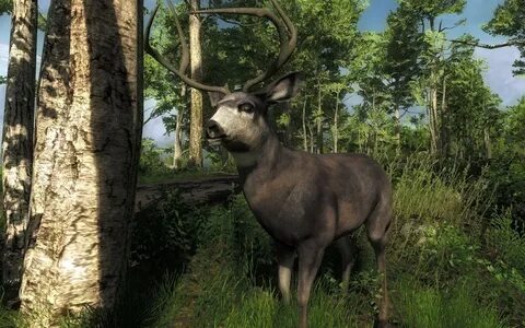 Неад hunter