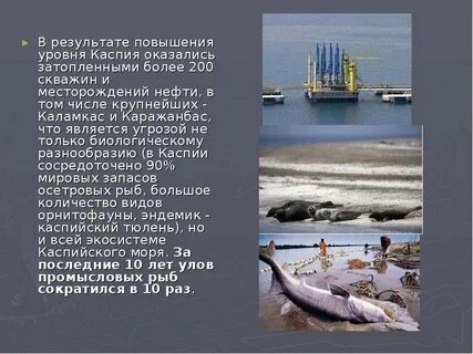 Проблемы казахстана
