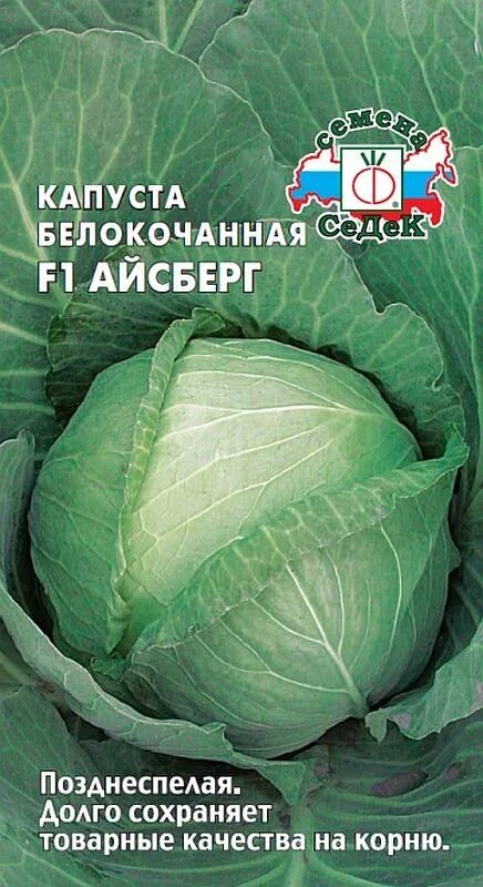 Лук айсберг описание сорта фото Лук батун Перформер Семко (94099): купить семена почтой в России интернет-магази