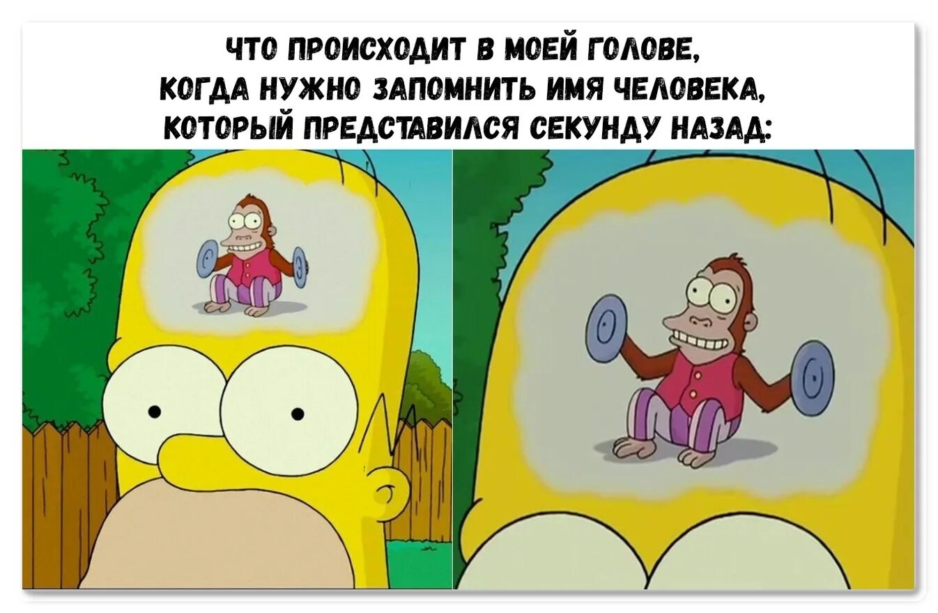 Не поймешь что творится. Что творится в голове. В моей голове. Что творится в моей голове. Мем что происходит в голове.