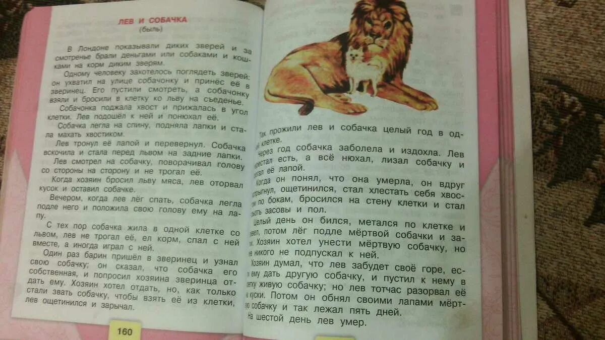 Л толстой рассказы лев и собачка. Быль л н толстого лев и собачка. лев и собачка текст. лев и собачонка рассказ.