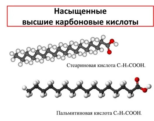 Стеариновая кислота как представитель высших карбоновых кислот. Пальмитиновая кислота структурная формула. пальмитиновая и стеариновая кислота. пальмитолеиновая жирная кислота формула. пальмитиновая кислота и стеариновая кислота.