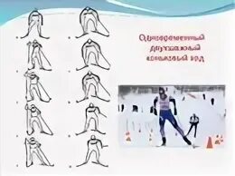 Лыжные ходы коньковый
