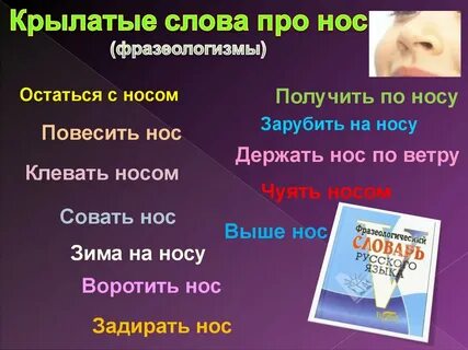 Фразеологизм под самым носом