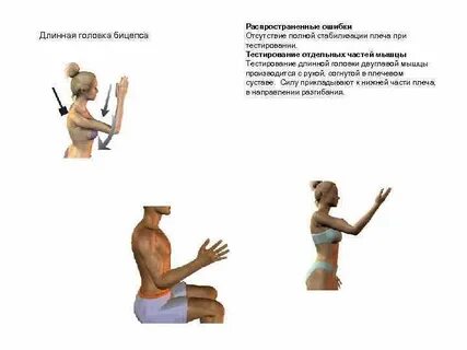 Тест бицепса