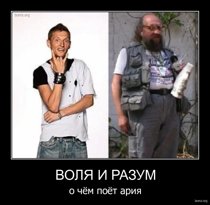 Воля и разум фото. Эмоции-интеллект-воля. Воля и разум. Воля и разум гори. Табулатура воля и разум.