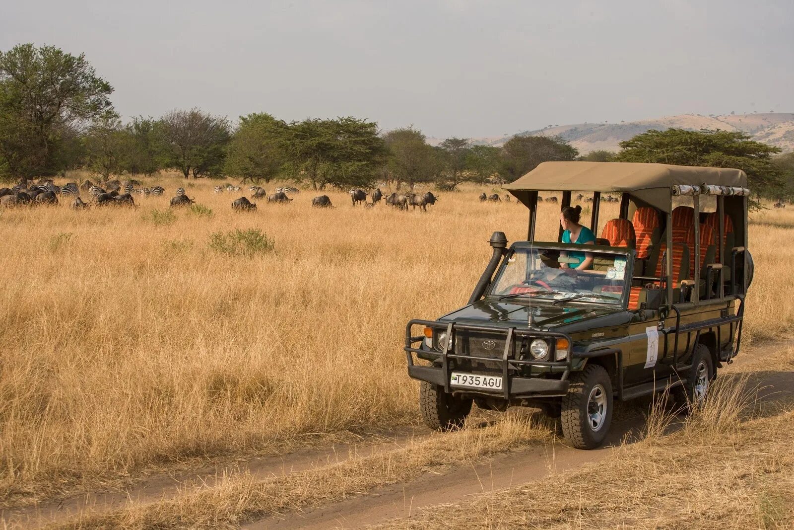 Сафари 10. Safari x-line. Сафари тур. Safari mobile. Best photos.