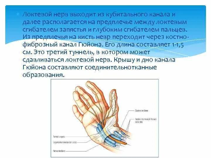 Синдром кубитального канала локтевого нерва. Туннельный синдром кубитального канала локтевого нерва. Туннельный синдром локтевого нерва рентген. Кубитальный канал локтевого нерва на УЗИ.