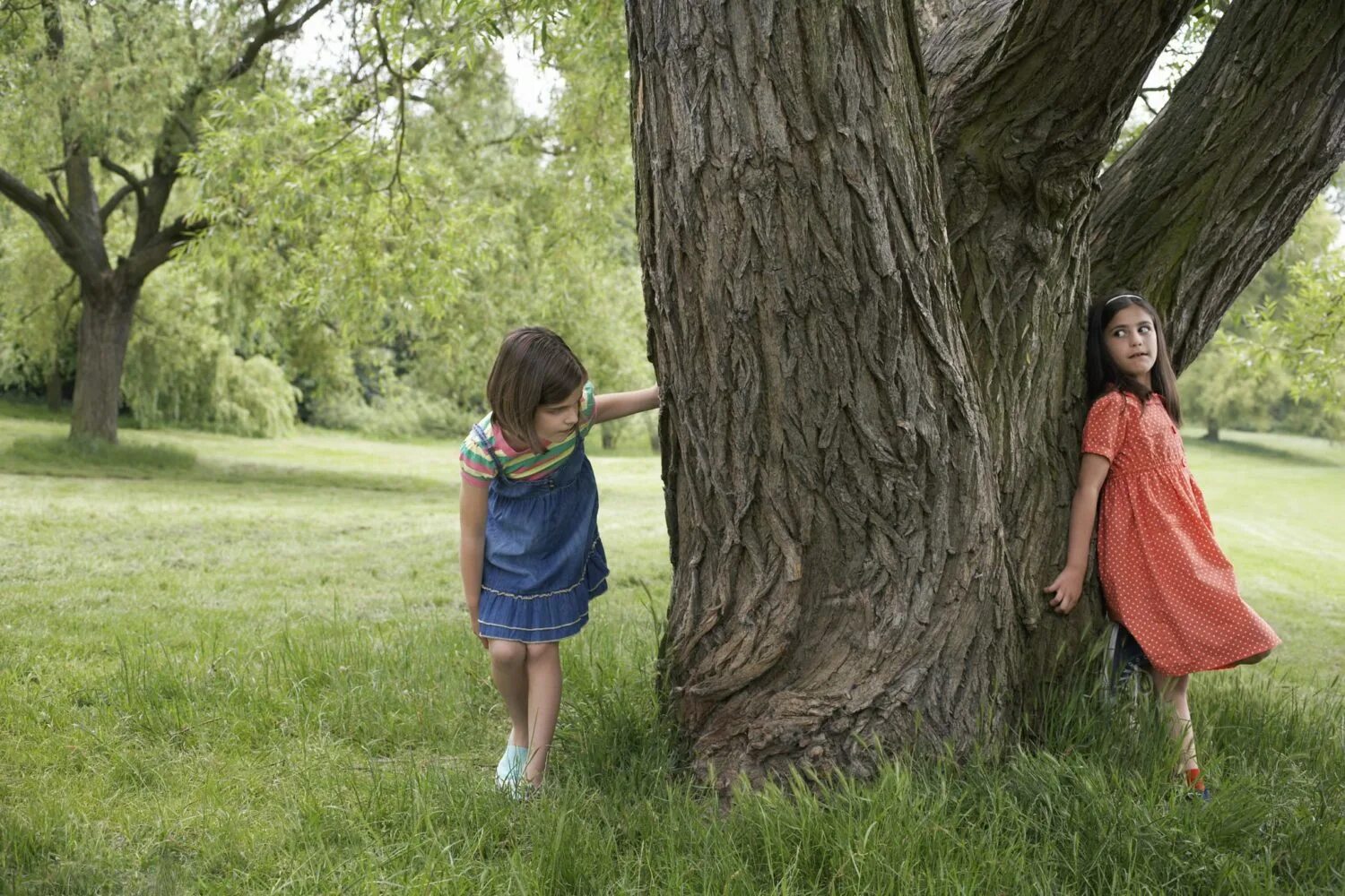 Включи папа прятки. Девочка за деревом. Девочка прячется за деревом. Человек прячется за деревом. "ПРЯТКИ".