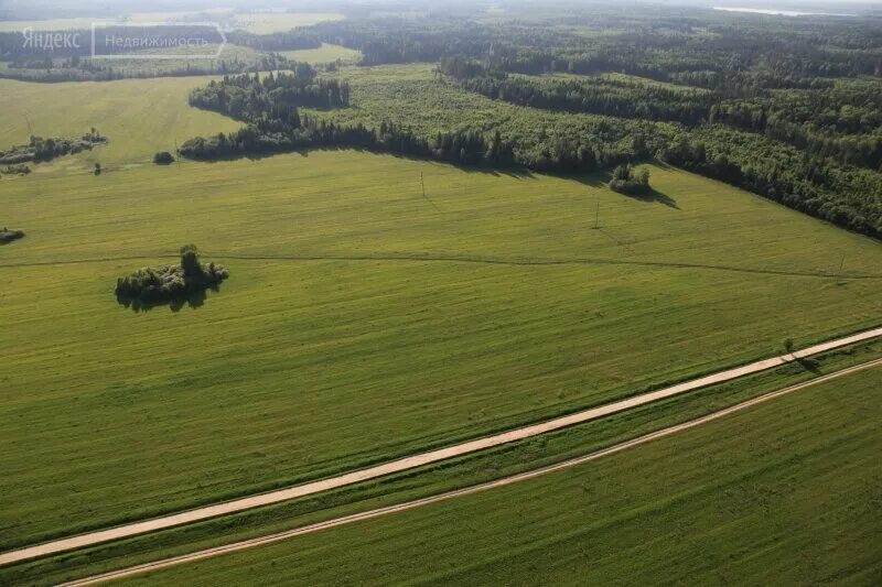 тарасовский район 2020 пожары. гектар. 100 гектаров в городе. поле рядом с дорогой. 1200 гектар фото.
