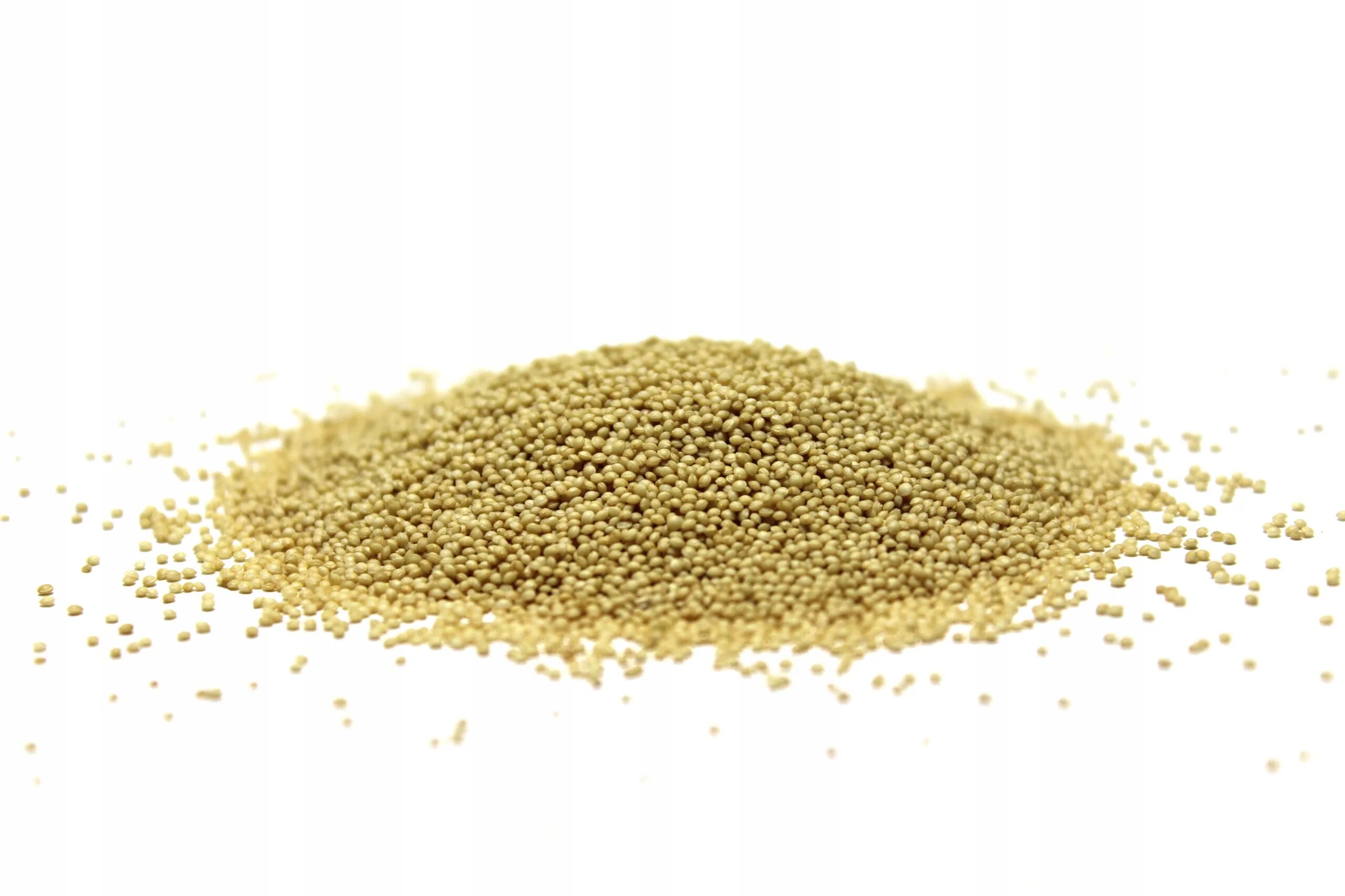 Семена амаранта. Зерно амаранта. Зерно амаранта. Амарант крупа. Зерно амаранта.