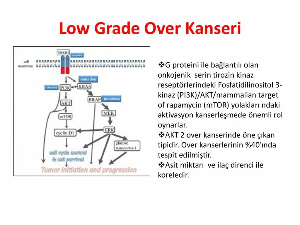Классификация low grade. Low grade опухоль классификация. Low grade перевод на русский в медицине. Low grade в онкологии. Low grade что это значит.