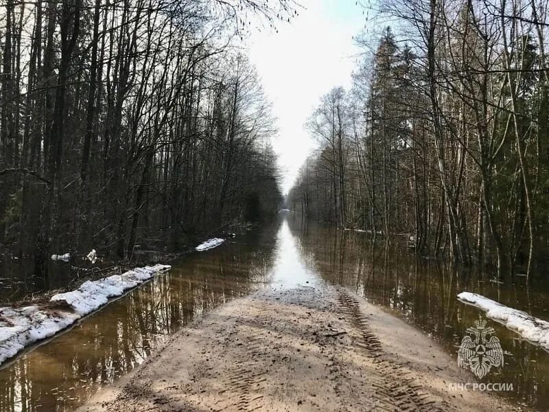 Изменения в смоленской области. Половодье Смоленск. Смоленск дорога. Дорога смерти в Смоленской области. Дорога от Озерного Смоленской области.