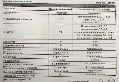 Лейкоциты при беременности 2 триместр в моче