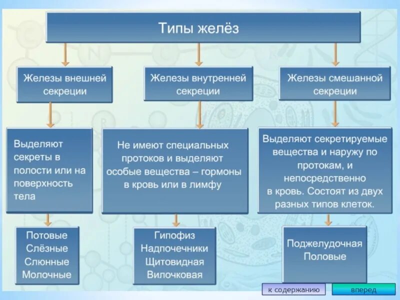 Название желез. Виды желез внутренней секреции. желёзы внешней секреции секреции таблица. типы желез биология 8 класс. железы внешней внутренней и смешанной секреции.