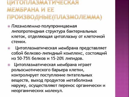 Функции цитоплазматической мембраны