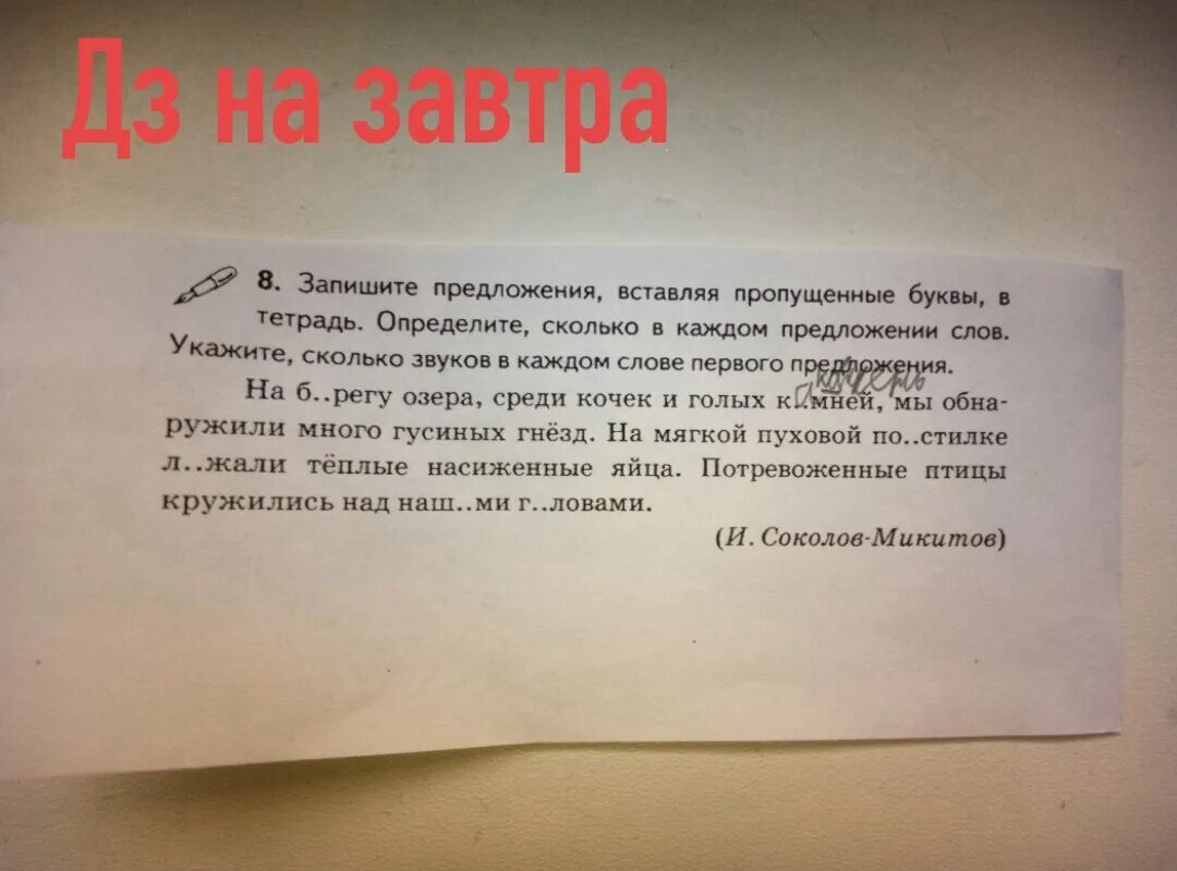 Дз на пять. ДЗ на завтра. Какое ДЗ на завтра. Скиньте домашнее задание на завтра. Скиньте ДЗ на завтра.