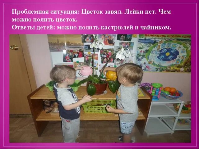 Проблемная ситуация старшая группа. Проблемные ситуации с растениями. проблемная ситуация в детском саду. проблемная ситуация полить цветок. игровые проблемные ситуации.