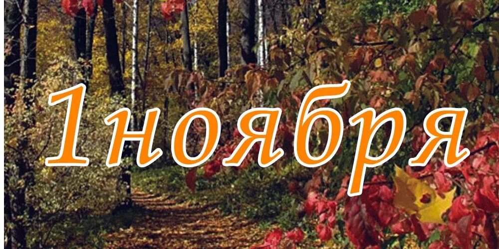 День рождение 1 ноября. С 1 ноября картинки. Ноябрь надпись. Первое ноября. Ноябрь картинки с надписями.