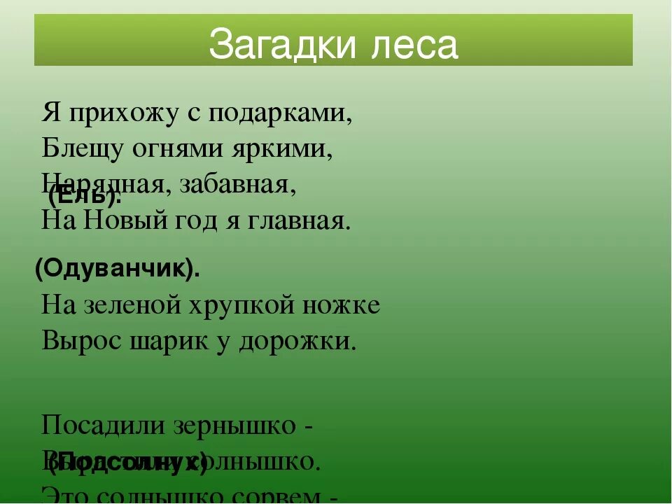 Загадки на тему леса. Загадки про лес. Загадки по теме лес. Загадки на тему лес.