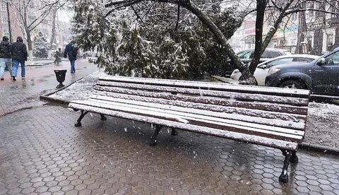 Мокрый ростов