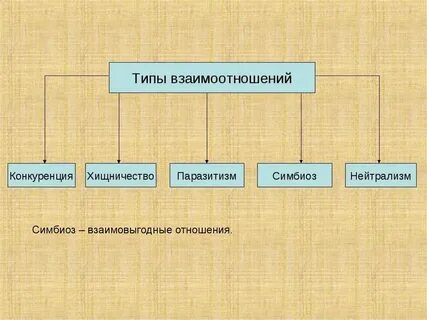Виды отношений между поколениями
