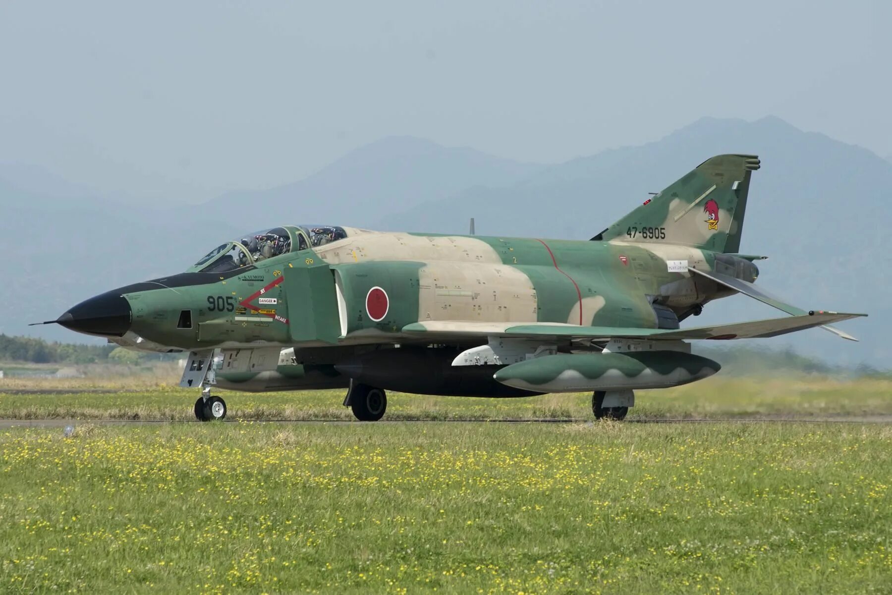 самолет фантом ф-4. самолет фантом ф-4. F-4 phantom. ф-4 фантом. Douglas f-4 phantom-ii.