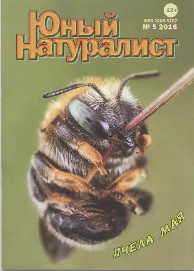 Юный натуралист 5. Юный натуралист. Мой Юный натуралист. Обложка журнала Юный натуралист. Проект 2 класс Юный натуралист.